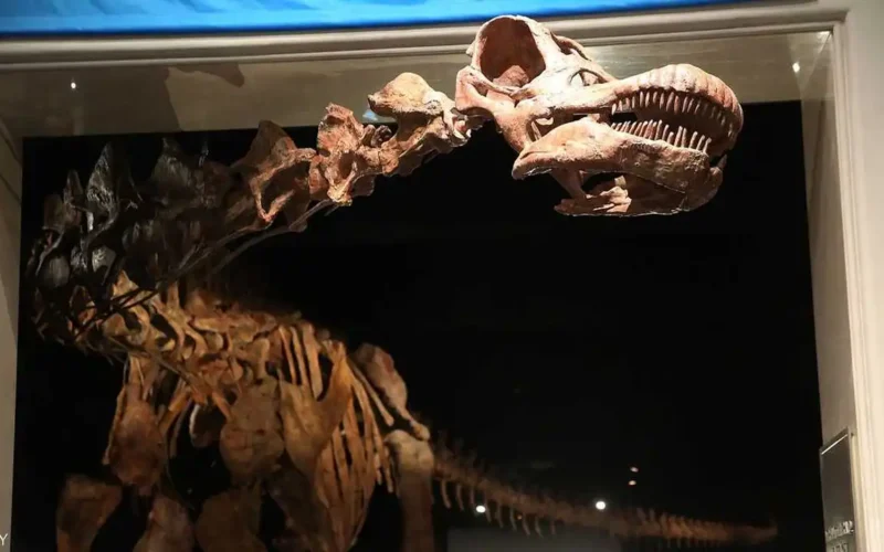 اكتشاف جديد الذكاء الاصطناعي يفك سر آثار أقدام الديناصورات